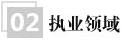 從業(yè)領(lǐng)域